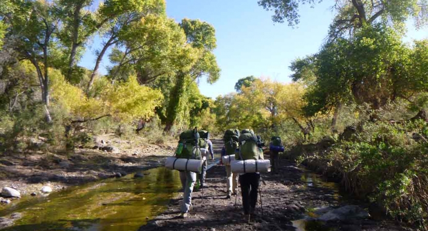 a group of gap year students carrying backpacks hike alongside a creek lined with green trees on an outward bound trip